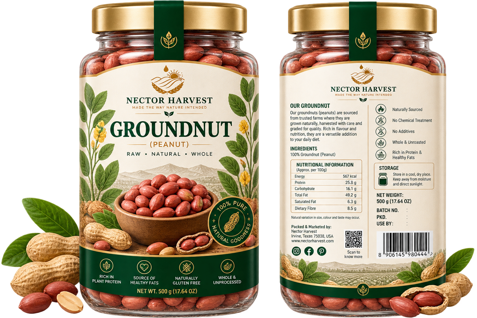 Groundnut